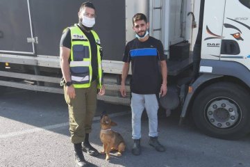 עפולה: כלבה ננעלה בשגגה במשאית מונעת וחולצה בנחישות על ידי כונני ידידים