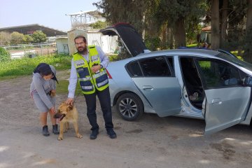 מושב אמונים: שלושה כלבים ננעלו ברכב לעיני בעליהם, מתנדב ידידים חילץ את שלושתם בשלום • “רק כשהגעתי למקום הבנתי שברכב הנעול לכודים כלבים”