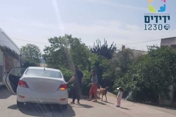 בית לחם הגלילית: כלב ננעל ברכב, מתנדב ידידים חילץ אותו בשלום • בידידים קוראים שלא להשאיר חסרי ישע לבד ברכב מחשש לנעילה