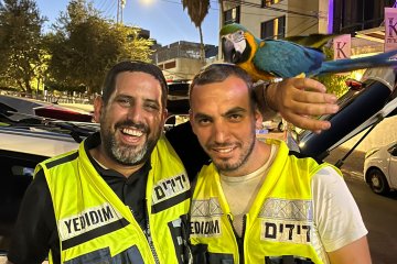 טבריה: נחש ותוכים ננעלו ברכב • מתנדבי ידידים חילצו אותם במהירות