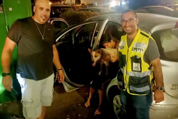 קרית אונו: כלב ננעל ברכב לעיני בעליו, מתנדב ידידים חילץ אותו בשלום