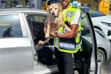 ראשון לציון: כלב ננעל ברכב לעיני בעליו, מתנדב ידידים חילץ אותו בשלום