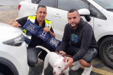 אשדוד: כלב ננעל ברכב, מתנדבי ידידים חילצו אותו בשלום