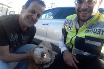 ראשון לציון: כלב ננעל ברכב לעיני בעליו, מתנדבי ידידים חילצו אותו בשלום • “חזרתי משגרת לימודיי הישר לחילוץ בעל חיים נעול”