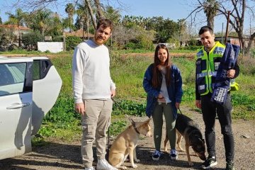 הוד השרון: מתנדב ידידים חילץ בשלום זוג כלבים שננעל ברכב • “הוא חיבק אותי ואמר לי, אתה מלאך”