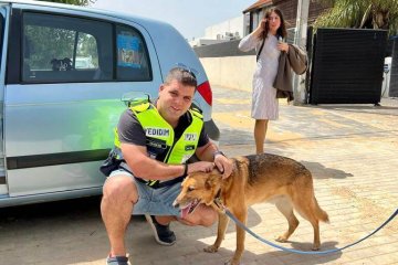מצליח: כלב ננעל בשגגה ברכב, מנהל מחוז מרכז חילץ אותו בשלום • ״ידעתי מראש שידידים יגיעו במהרה לעזרה״