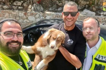 כרמיאל: כלב ננעל בשגגה ברכב, מתנדבי ידידים חילצו אותו בשלום • ״בעל הכלב נפעם ממהירות ההגעה והחילוץ״