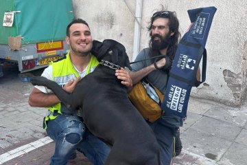 רמת גן: כלב ננעל בשגגה ברכב, מתנדב ידידים חילץ אותו בשלום • ״חילצתי את הכלב, ששב בשמחה לבעליו״