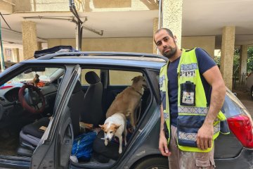 חולון: כלבים ננעלו ברכב וחולצו בשלום על ידי מתנדב ידידים • “בעלת הכלבים ביקשה לשלם על השירות