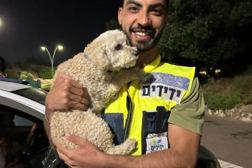 יקנעם: כלבה ננעלה בשגגה ברכב, מתנדבי ידידים חילצו אותה בשלום • ״היה מעט חשוך, אך בזריזות, חילצנו את הכלבה בשלום״