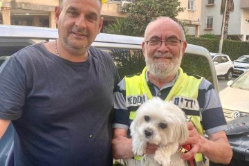 ראשון לציון: כלבה ננעלה בשגגה ברכב, מתנדב ידידים חילץ אותה בשלום • ״הרגשה כל כך טובה לסייע על הבוקר לחסר ישע״