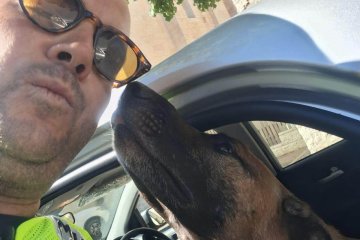 צור הדסה: כלב ננעל בשגגה ברכב, מתנדב ידידים חילץ אותו בשלום • ״סיפוק מדהים לראות איך הבעלים שהייתה חסרת אונים, הופכת ברגע למאושרת״