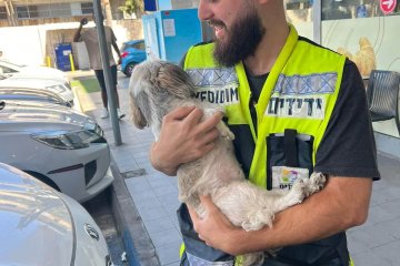ראשון לציון: כלבה ננעלה ברכב לעיני בעליה, מתנדב ידידים חילץ אותה בשלום