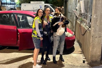 ראשון לציון: כלבה ננעלה בשגגה ברכב, מתנדבות ידידים חילצו אותה בשלום • ״השבנו את הכלבה לזרועות בעליה״