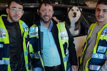 אשדוד: כלב ננעל ברכב לעיני בעליו וחולץ בשלום ע”י מתנדבי ידידים