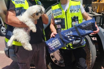 אשדוד: כלב ננעל בשגגה ברכב, מתנדבי ידידים חילצו אותו בשלום • צפו🎥