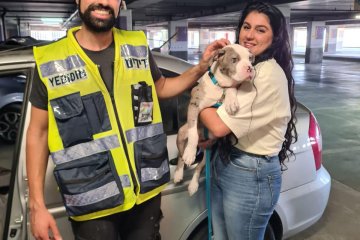 ראשון לציון: כלבה ננעלה ברכב, מתנדבי ידידים חילצו אותה בשלום