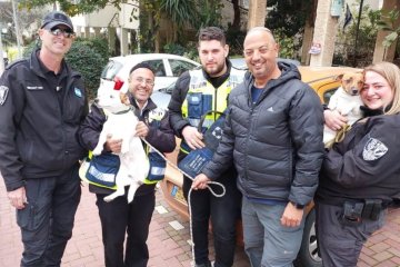 רחובות: כלבים ננעלו ברכב, מתנדבי ידידים חילצו אותם בשלום • “בתום החילוץ צוות הפיקוח העירוני המשיך בטיפול שלהם ולקח אותם לוטרינר”