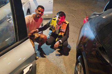 קרית גת: כלב ננעל ברכב בשגגה, מתנדבי ידידים חילצו אותו בשלום
