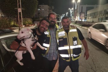 קרית מלאכי: כלב ננעל ברכב לעיני בעליו, מתנדבי ידידים חילצו אותו בשלום • צפו 🎥