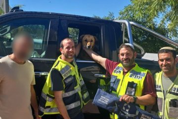 שערי תקווה: כלב ננעל בשגגה ברכב, מתנדבי ידידים חילצו אותו בשלום • ״בערב יום כיפור נדרשת עוד מצווה שתכריע את הכף – אולי זו המצווה שלי״