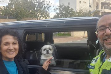 מודיעין: כלבים ננעלו ברכב, מתנדב ידידים חילץ אותם בשלום