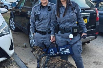 בת ים: כלב ננעל ברכב וחולץ בשלום ע”י מתנדבי ידידים