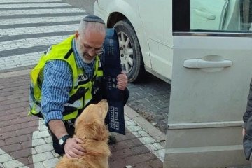 מעלות: כלב ננעל ברכב לעיני בעליו, מתנדב ידידים חילץ אותו בשלום