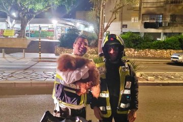 אשקלון: כלב ננעל בשגגה ברכב, מתנדבי ידידים חילצו אותו בשלום • ״בעלת הכלב הודתה על החילוץ המהיר״ • צפו 🎥