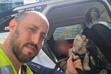 חולון: כלב ננעל בשגגה ברכב, מתנדב ידידים חילץ אותו בשלום
