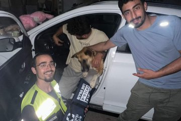 בני ברק: כלב ננעל ברכב וחולץ על ידי מתנדב ידידים