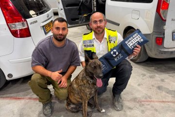 משמר הנגב: כלבה ננעלה ברכב וחולצה בשלום על ידי מתנדב ידידים • “ביום חם כמו היום כל דקה היא קריטית” • צפו 🎥