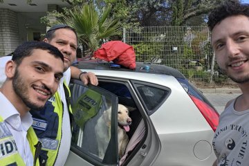 ראשון לציון: כלב ננעל בשגגה ברכב, מתנדבי ידידים חילצו אותו בשלום