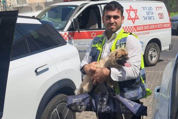 טבריה: כלב ננעל בשגגה ברכב וחולץ בשלום ע”י מתנדב ידידים