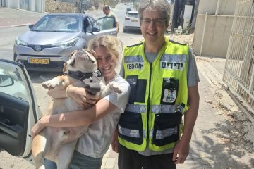 דלית אל כרמל: כלב ננעל בשגגה ברכב וחולץ בשלום ע”י מתנדב ידידים