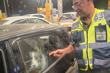 באר שבע: כלבים ננעלו בשגגה ברכב, מתנדב ידידים חילץ אותם בשלום • ״אנשים טובים באמצע הדרך״
