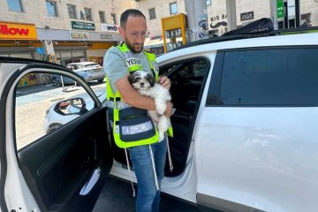 בית־שמש: כלב ננעל בשגגה ברכב וחולץ בשלום על ידי מתנדב ידידים • “להציל חיים של בעלי חיים”