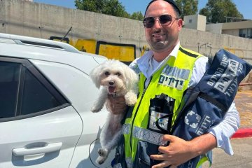 נתניה: כלבה ננעלה ברכב וחולצה בשלום ע”י מתנדב ידידים