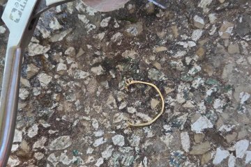 קריית שמונה: טבעת נתקעה באצבעה של אישה במהלך חופשה משפחתית, מתנדב ידידים חילץ אותה בשלום • “החופשה של המשפחה לא תיהרס בגלל טבעת”