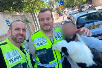 הרצליה: כלבה ננעלה ברכב לעיני בעליה, מתנדבי ידידים חילצו אותה בשלום
