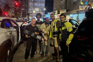 רחובות: כלב ננעל בשגגה ברכב, מתנדבי ידידים חילצו אותו בשלום