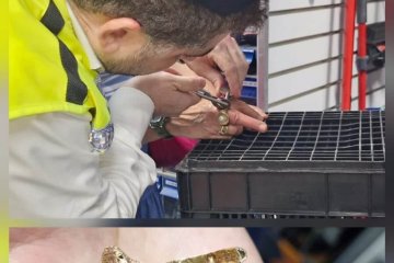 בני ברק: טבעת נתקעה באצבעה של אישה, מתנדבי ידידים חילצו את האצבע מן הטבעת בשלום