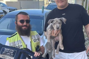 דימונה: כלב ננעל ברכב וחולץ בשלום על ידי מתנדב ידידים