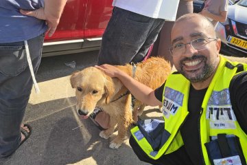 קיסריה: כלב ננעל ברכב וחולץ בשלום ע”י מתנדבי ידידים