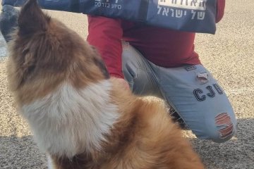 אכזיב: כלבה ננעלה ברכב וחולצה בשלום ע”י מתנדב ידידים