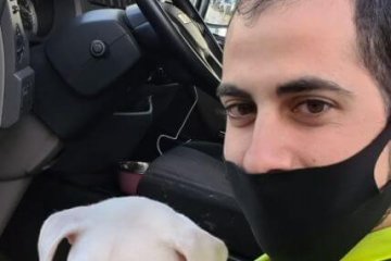 ירושלים: כונן ידידים הוזעק לחלץ כלב שננעל לבדו ברכב בשגגה • הכלב חולץ במהירות ובשלום
