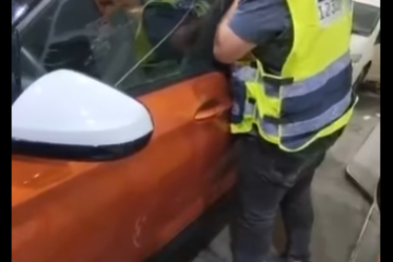 רמת דניה: כלבה ננעלה ברכב וחולצה בשלום ע”י מתנדבי ידידים • צפו🎥
